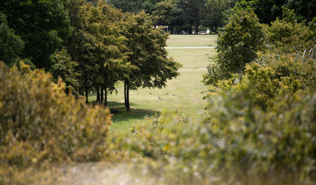 Greenwich Peninsula park for dog walks